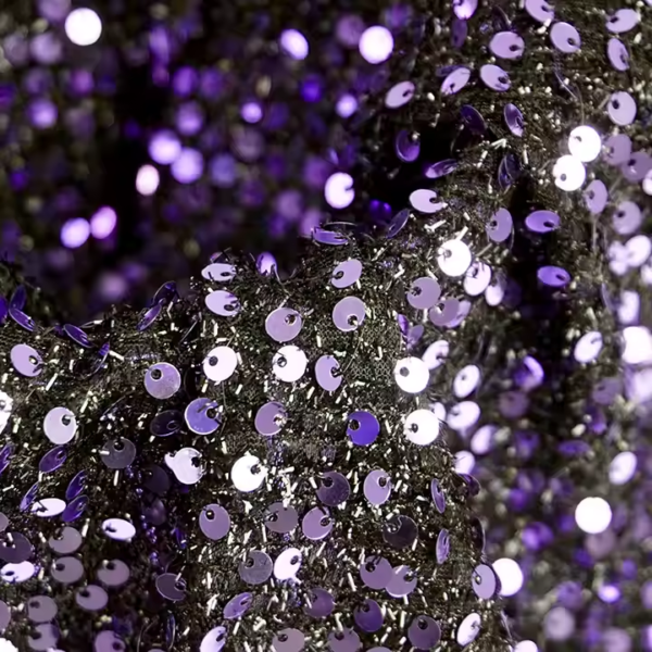 100% Polyester Anti-Mildew Sequin Embroidered Shiny Velvet Fleece Fabric - Image 3