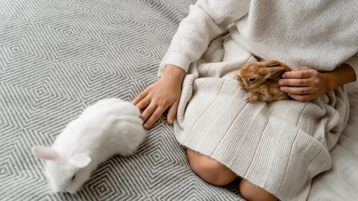 Organic Cotton Fleece Fabric: The Smart Choice for Eco-Friendly Fashion in 2025