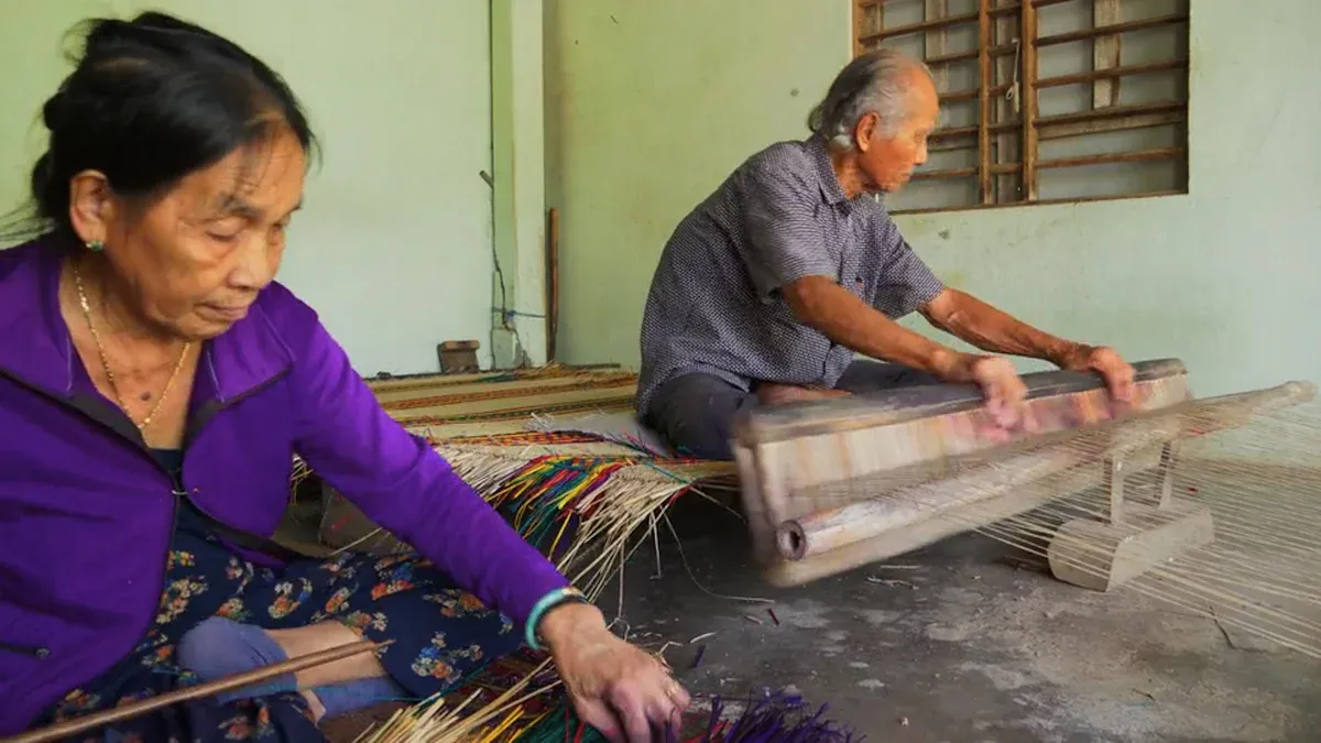 From Plant to Fabric: The Sustainability of Production