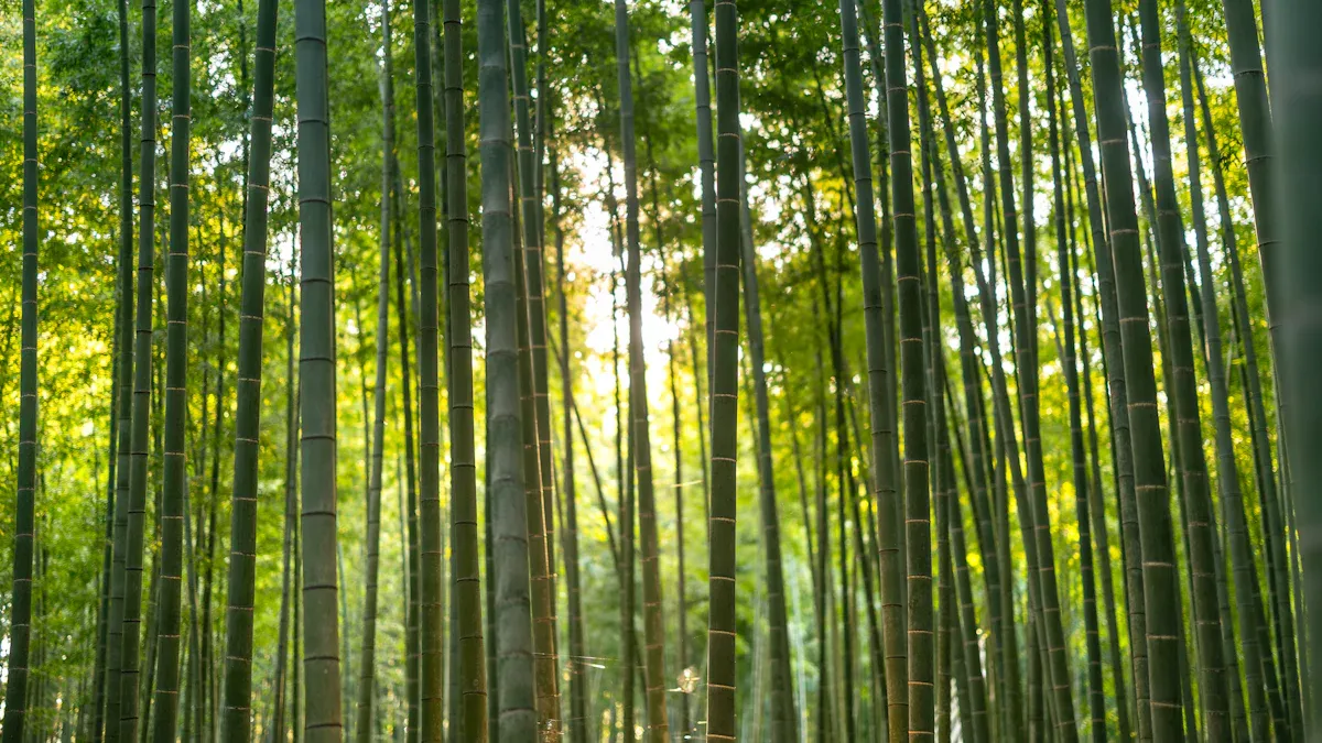 The Agricultural Benefits of Bamboo Cultivation