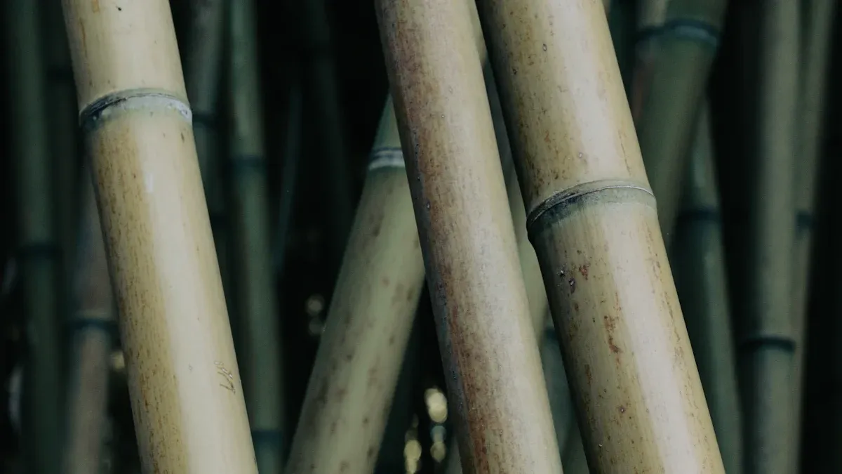 7 Eco-Friendly Benefits of Jersey Bamboo Fabric
